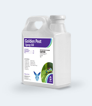 C- Golden Pest Spray Oil 5 gal - Chemicals